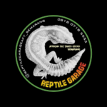 Logo Perusahaan Reptile Garage - Lowongan Desainer Grafis (Full Time/ Freelance) – Helper Gudang – Konten Kreator (Full Time/ Freelance)
