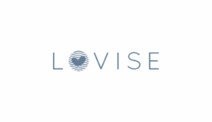 Logo Perusahaan DM GROUP (DM Mebel & Lovise Sofa) - Lowongan Kerja Head Store – CSO Supervisor – Business Development – Koordinator Operasional Toko – Social Media Specialist (Freelance Lovise)