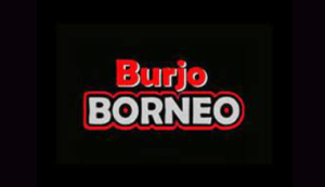 Logo Perusahaan Borneo Group Indonesia - Lowongan Kerja Manager Keuangan – Supervisor Outlet – Head Chef – Crew (Cook, Waiters, dan Kasir)